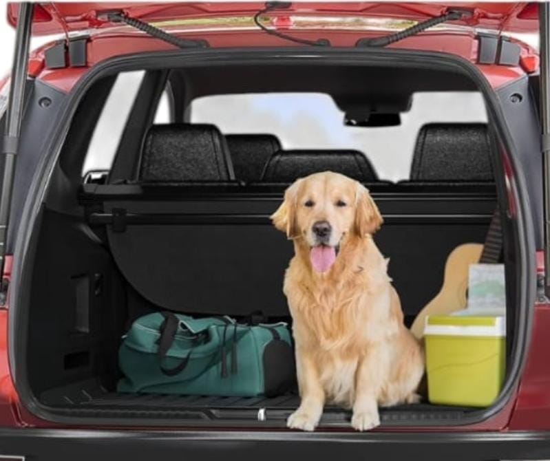 Tapete Cajuela Kia Sportage 2016-2020 - Tapete cajuela